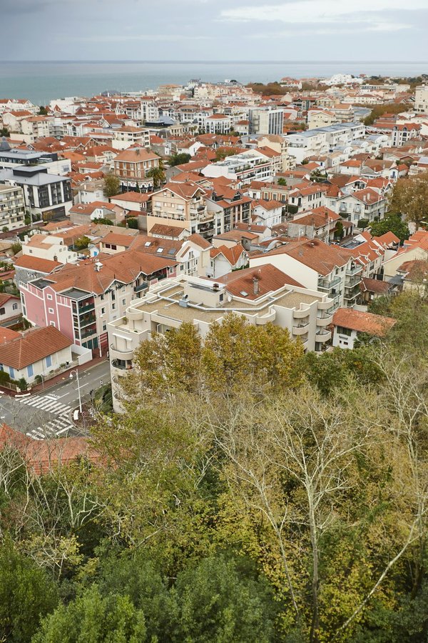What's the Best Method to Construct a Wildlife Observation Deck in a Suburban Backyard?